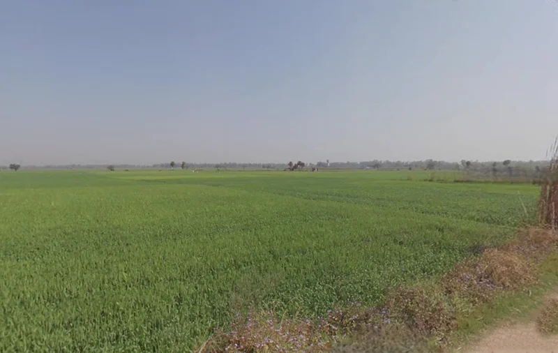 Kolkata, West Bengal, India preview 2