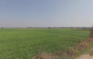 Kolkata, West Bengal, India preview 2