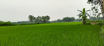 W2PQ+G6 Patara Danda, Uttar Pradesh, India preview 3