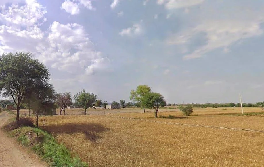 MR2P+GC8, Goojarpur Kalan, Rajasthan 301025, India