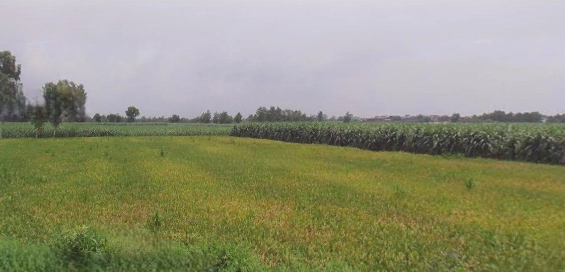 Sardhana, Uttar Pradesh 250342, India preview 3