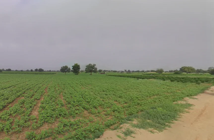 Budak, Haryana 125004, India preview 2