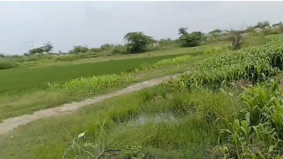 Shuklaganj Extension, Unnao, Dhaudhi Rautapur, Uttar Pradesh 209861, India