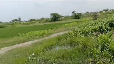 Shuklaganj Extension, Unnao, Dhaudhi Rautapur, Uttar Pradesh 209861, India preview 3