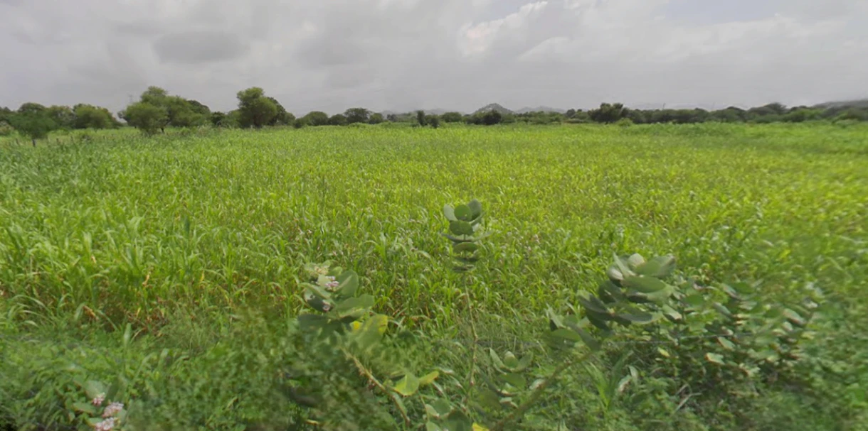 Udaipur, Rajasthan, India