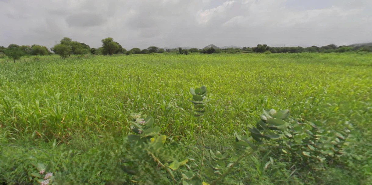 Udaipur, Rajasthan, India