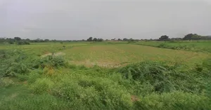 Ujjain, Madhya Pradesh, India preview 3