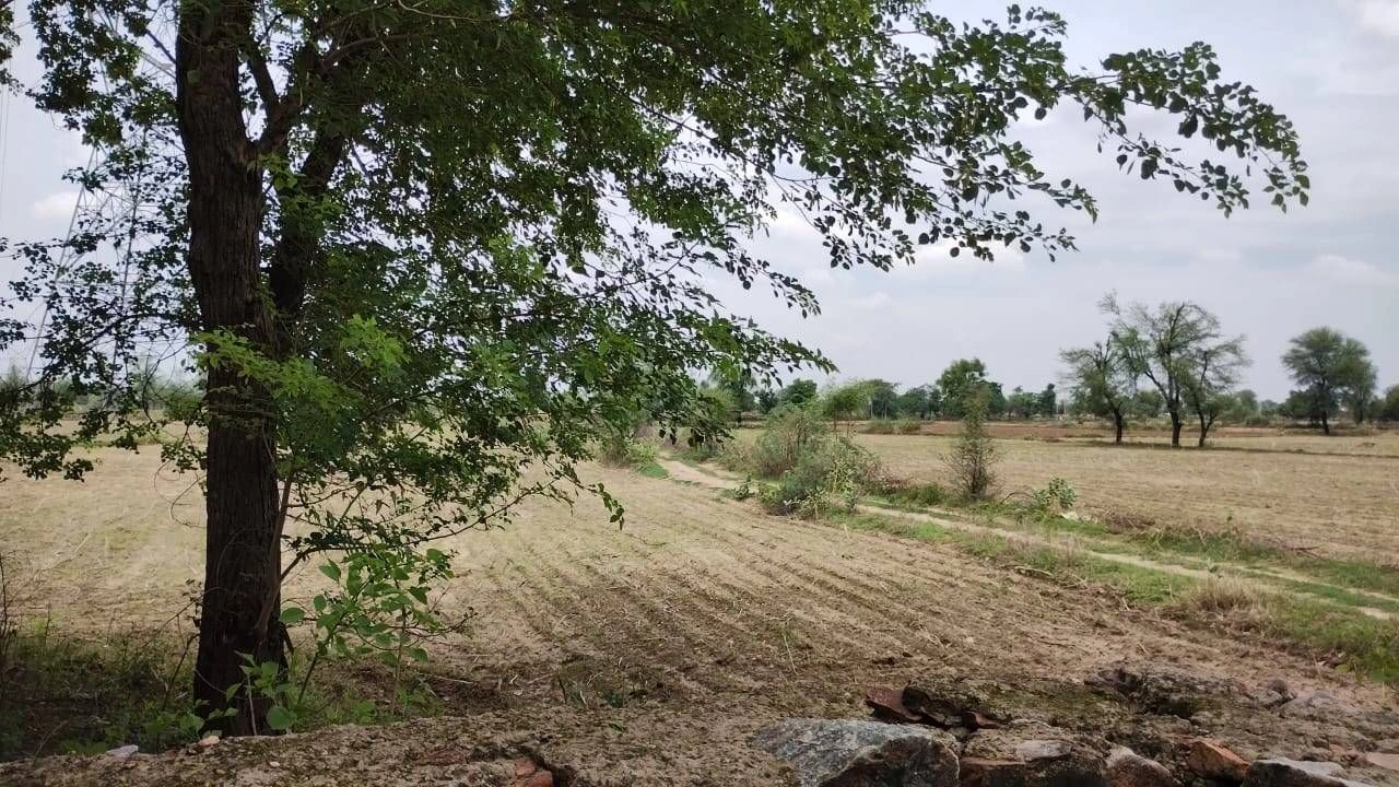746G+FH, Kharoda, Haryana 122103, India