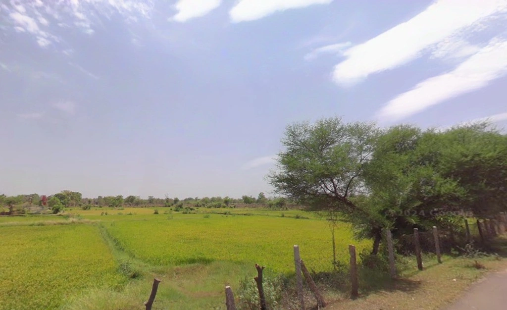 Mokhala, Chhattisgarh 493441, India