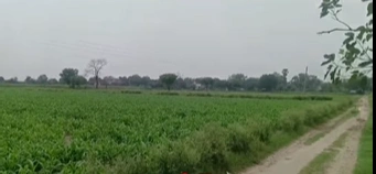 CCFR+QC Ichoda, Adilabad, Telangana, India