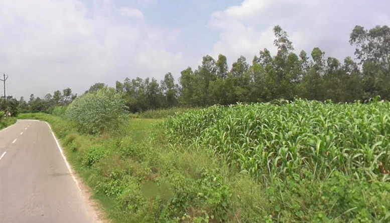 Janipur, Uttar Pradesh 247129, India