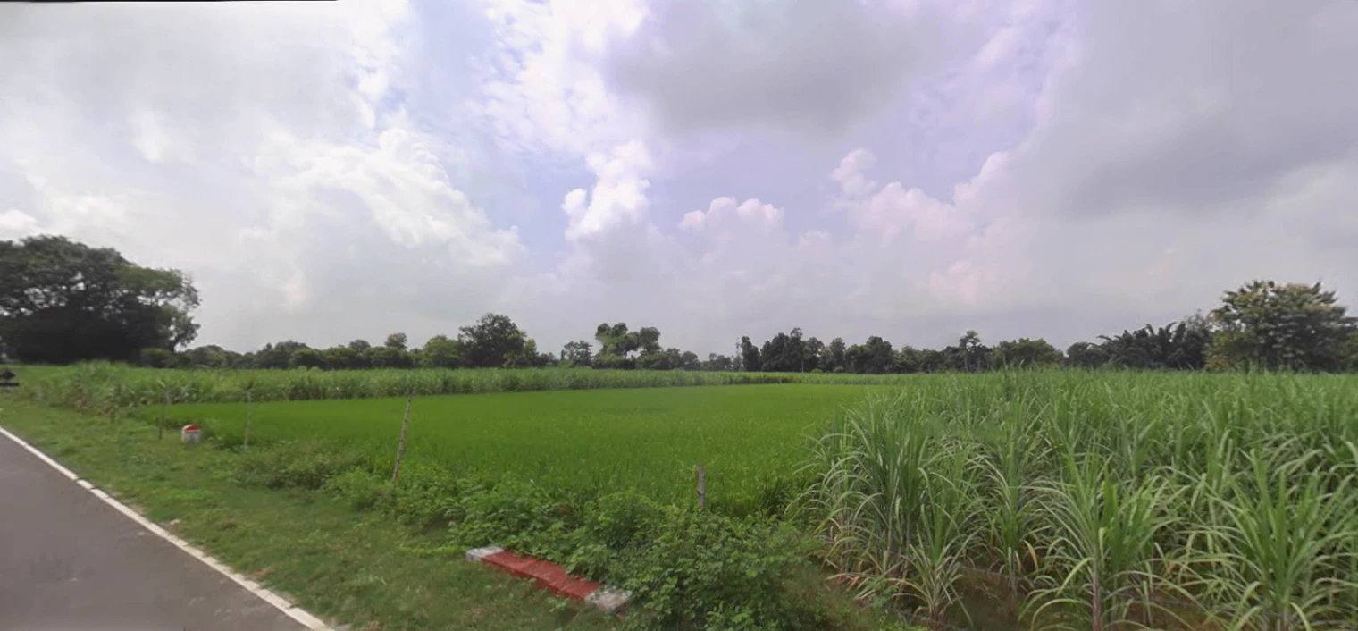 Biharigarh, Uttar Pradesh 247662, India