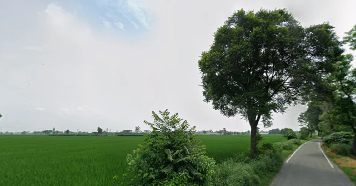 Dhilwan, Punjab 144804, India