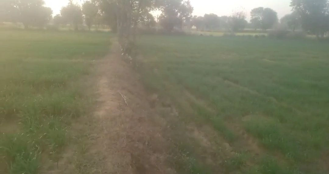 Mahwa Khurd, Rajasthan 301001, India