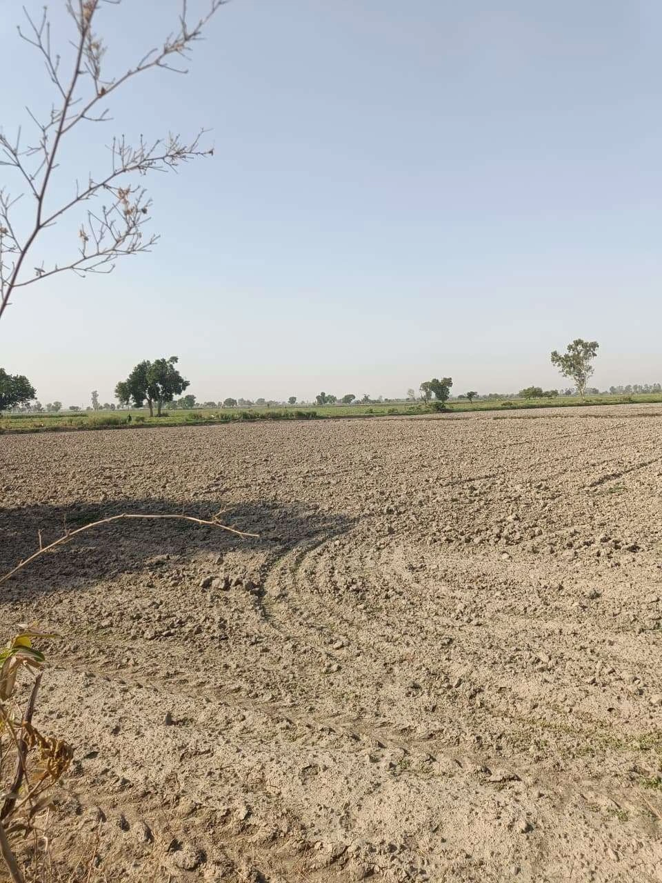Gauhari, Uttar Pradesh 281401, India