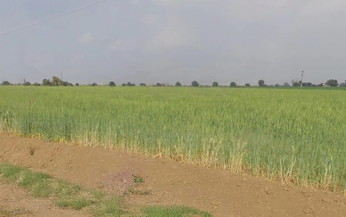 Khategaon, Madhya Pradesh 455336, India
