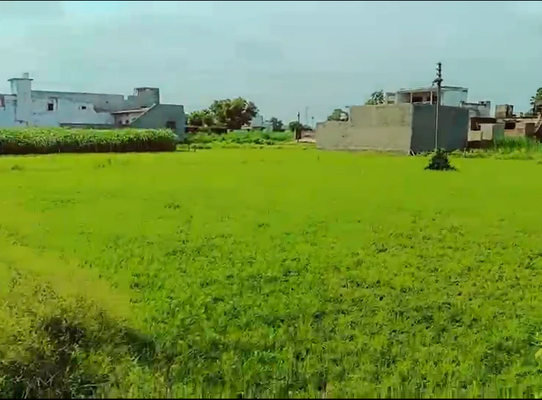 JVHW+GC Polepally - Gannerpalli, Nalgonda, Telangana, India