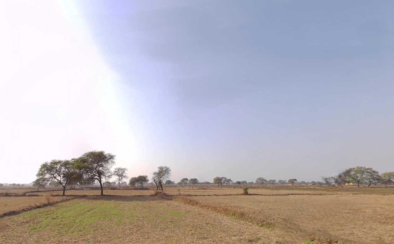 Moti Para, Chhattisgarh 491001, India