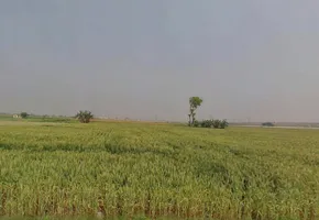 PR3M+JVQ, Rambag, Madhya Pradesh 486331, India preview 2