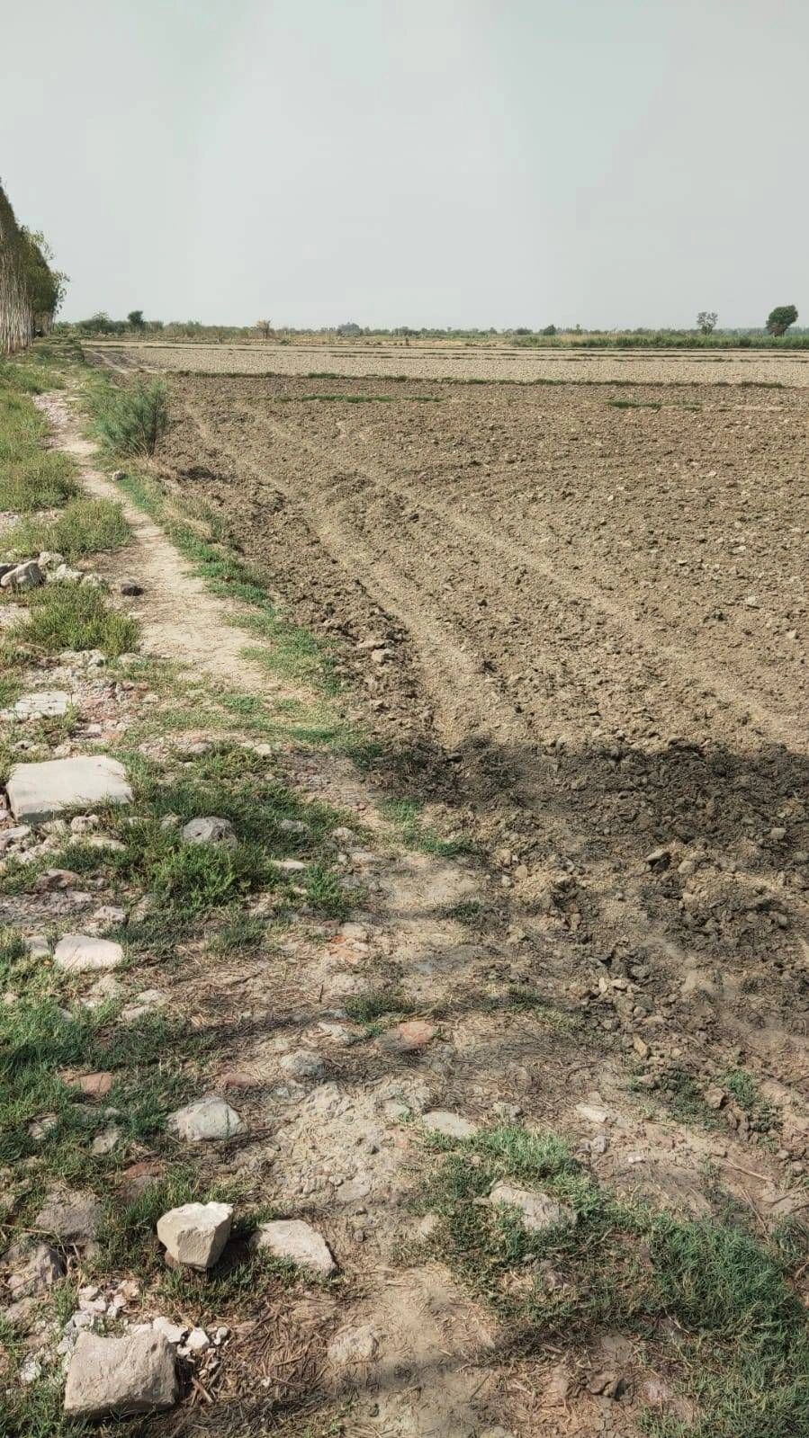Ajijpur, Uttar Pradesh, India