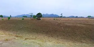 Ghatampur, Uttar Pradesh 209206, India preview 2