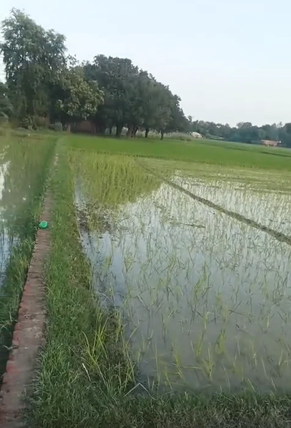 Gorihar, Chhatarpur, Madhya Pradesh 471516, India
