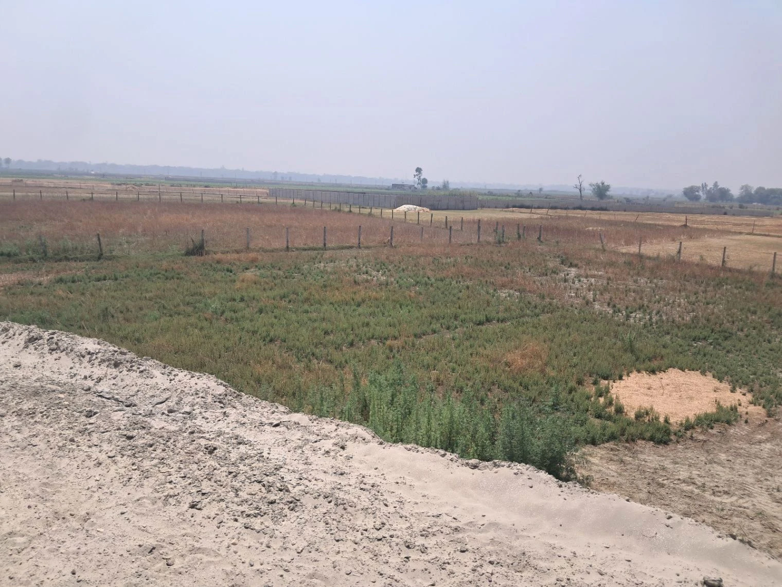 M67G+W2 Kachhauli, Uttar Pradesh, India