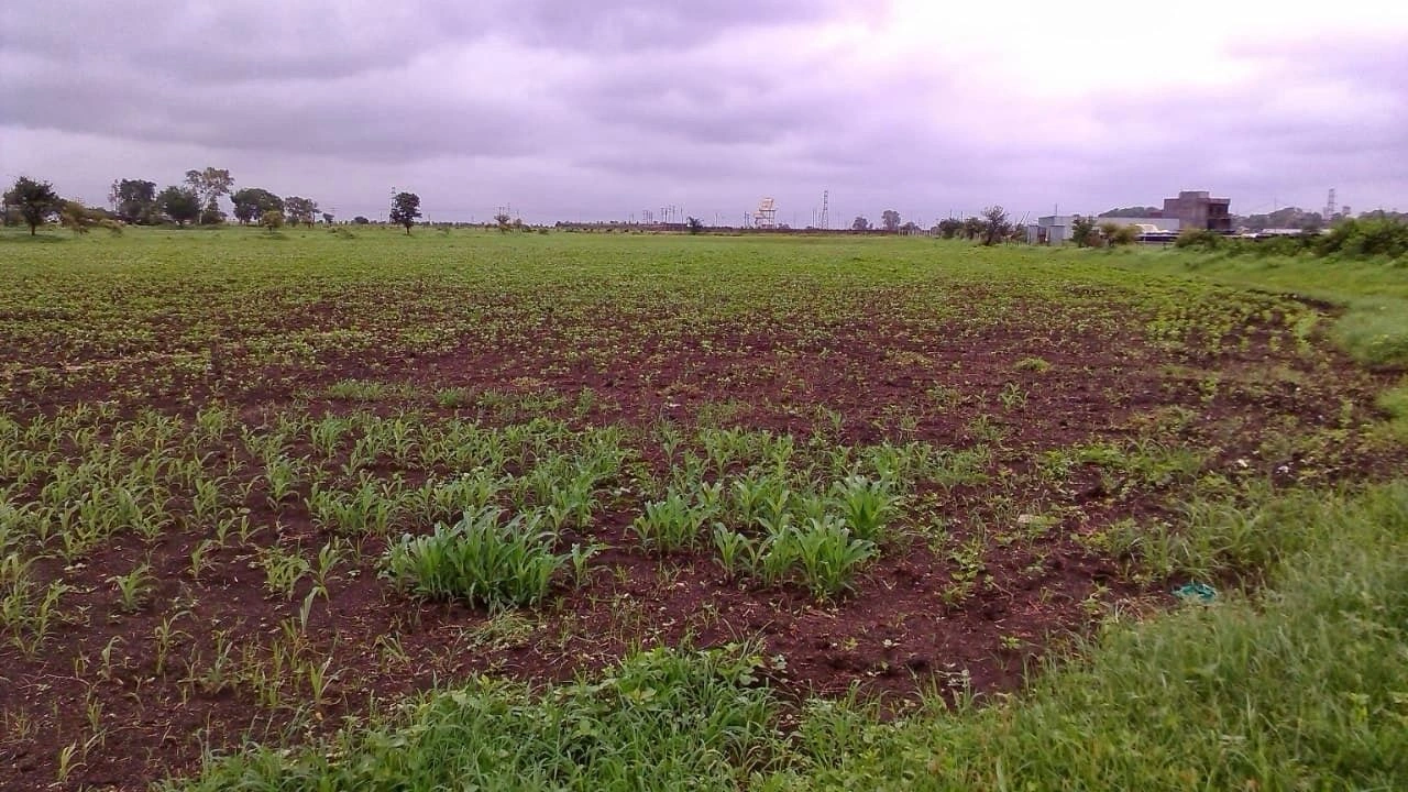 Chichgohan, Khandwa, Madhya Pradesh 450771, India
