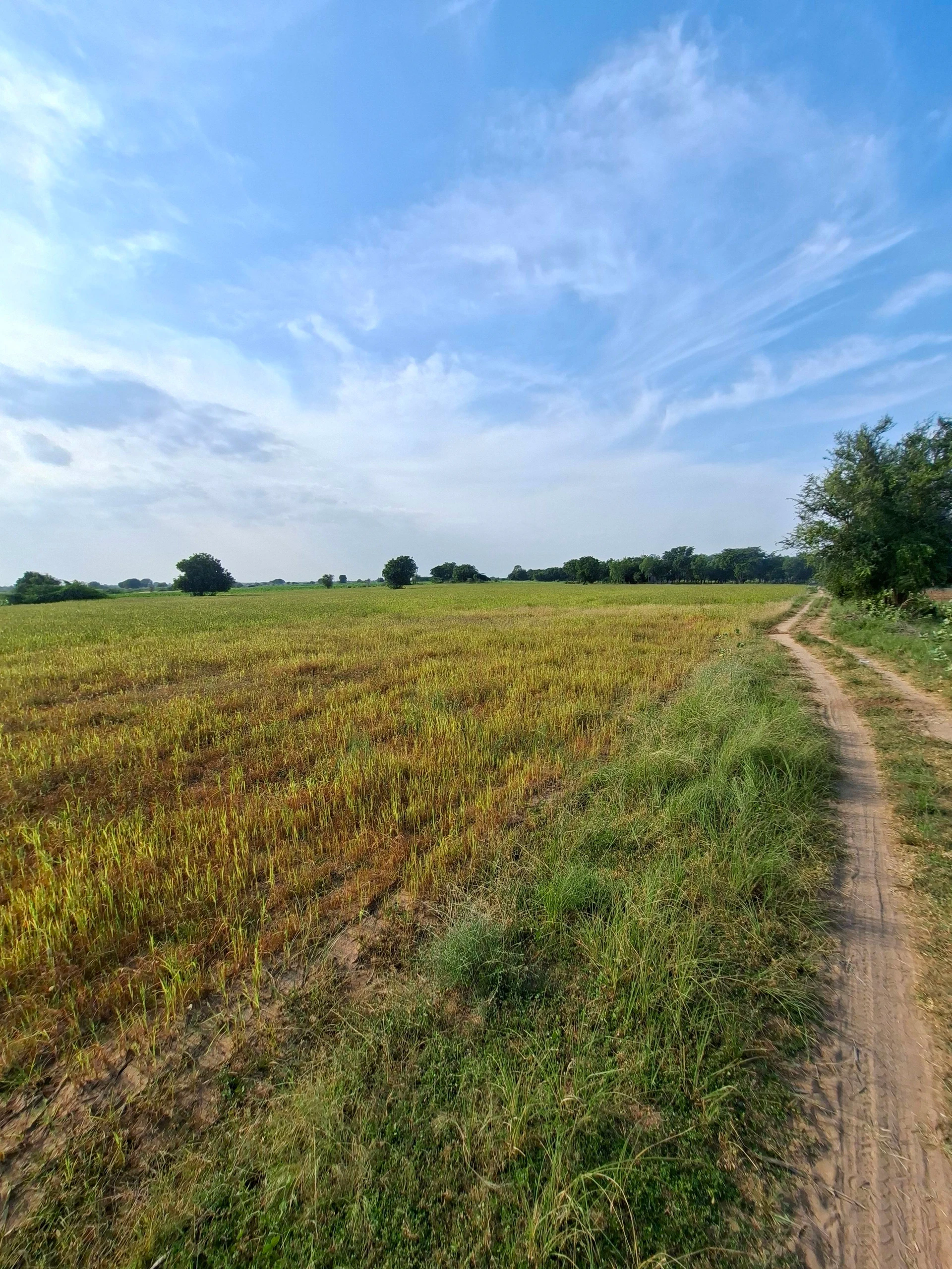 To Nalsarovar Road, Viramgam, 382170, India