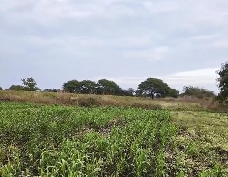 68XG+XM Telkur, Karnataka, India preview 3