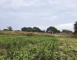 68XG+XM Telkur, Karnataka, India preview 3