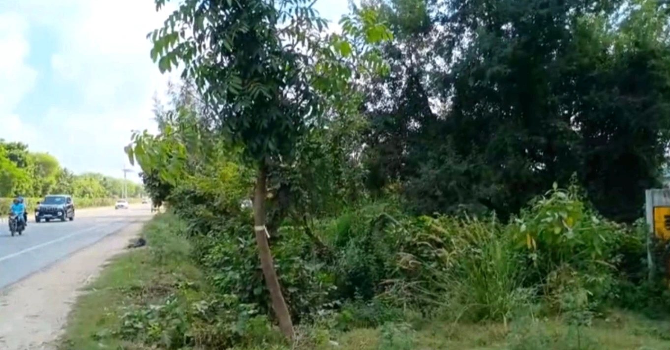 Mohanlalganj, Lucknow, Uttar Pradesh 226301, India