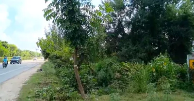 Mohanlalganj, Lucknow, Uttar Pradesh 226301, India preview 2