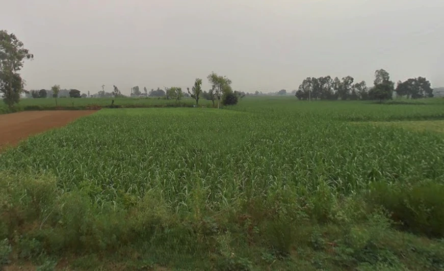 Behsuma, Uttar Pradesh 250401, India