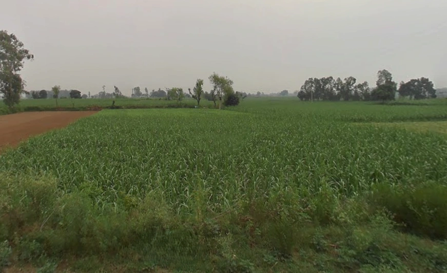 Behsuma, Uttar Pradesh 250401, India