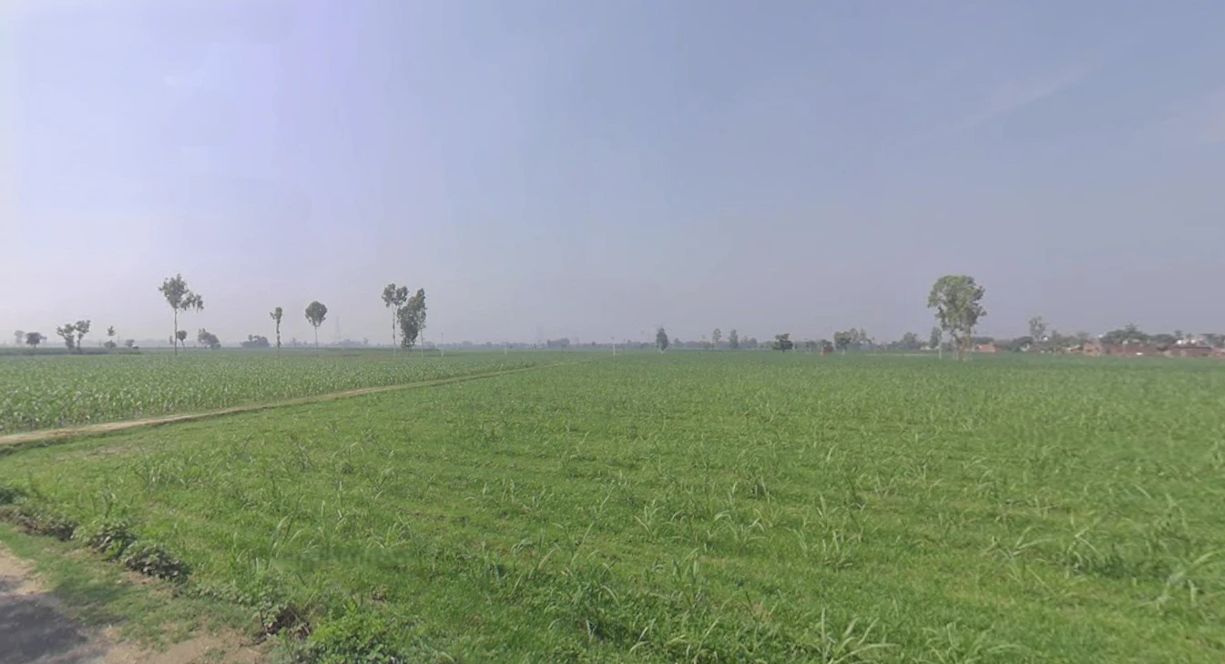 Tanda, Uttar Pradesh 244925, India