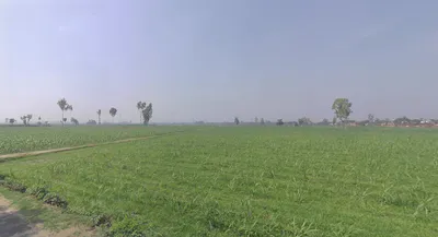 Tanda, Uttar Pradesh 244925, India preview 2