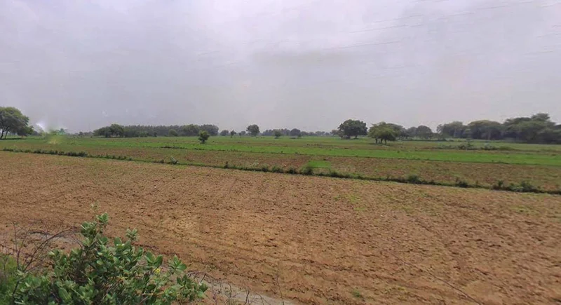 Jaisalmer, Rajasthan 345001, India preview 2