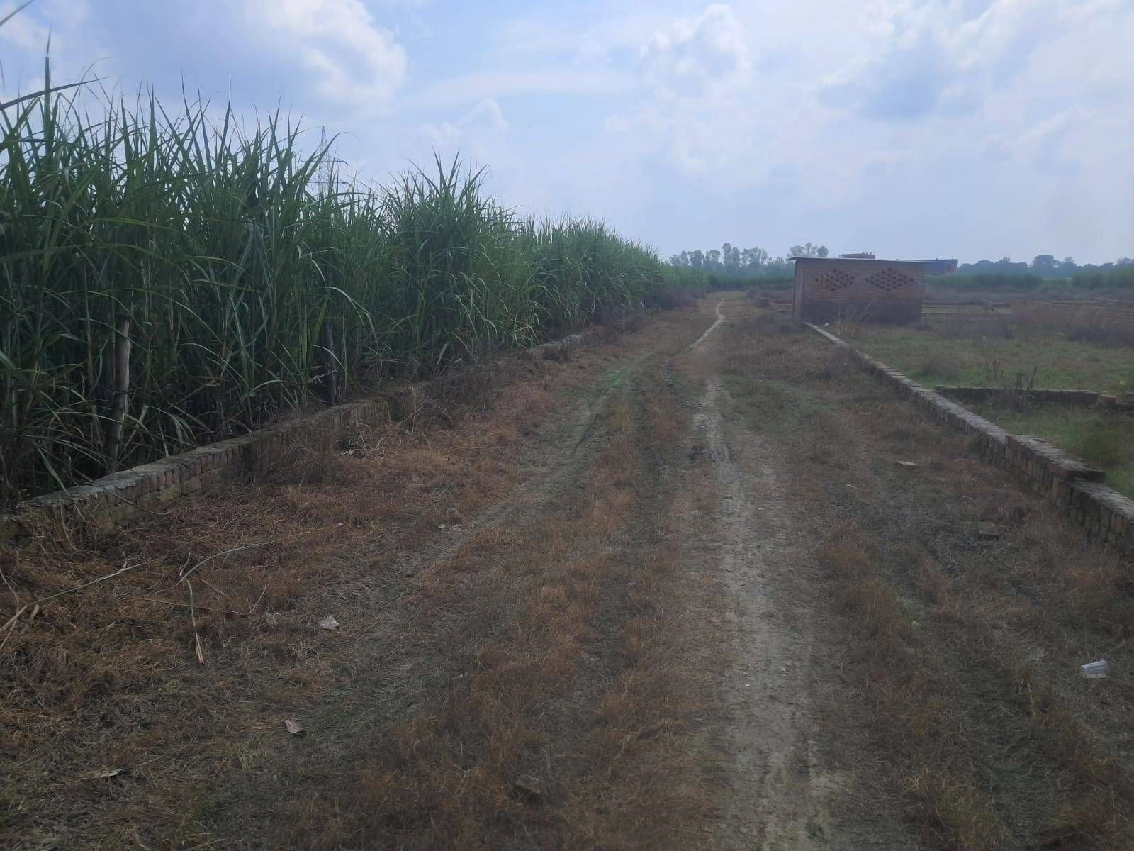 P5HR+265, Ayodhya, Kishundas Pur, Firozpur, Uttar Pradesh 224133, India