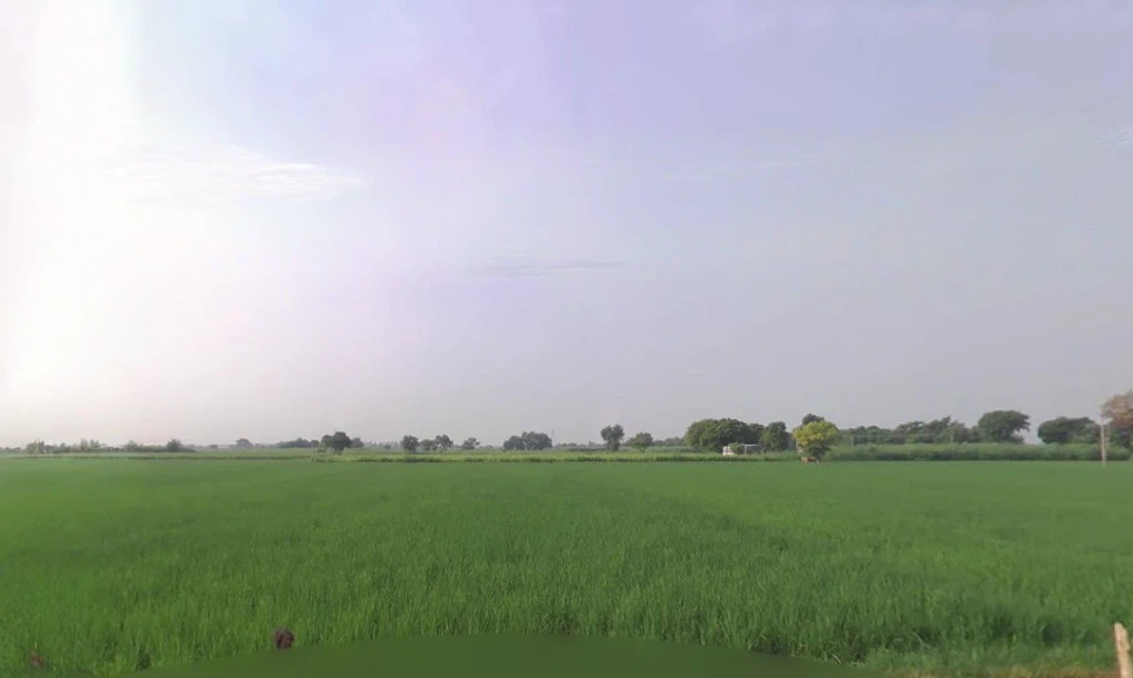 29VC+H66, near Deghot, Haryana 121105, India