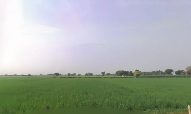 29VC+H66, near Deghot, Haryana 121105, India preview 2