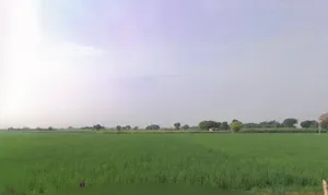 29VC+H66, near Deghot, Haryana 121105, India preview 2
