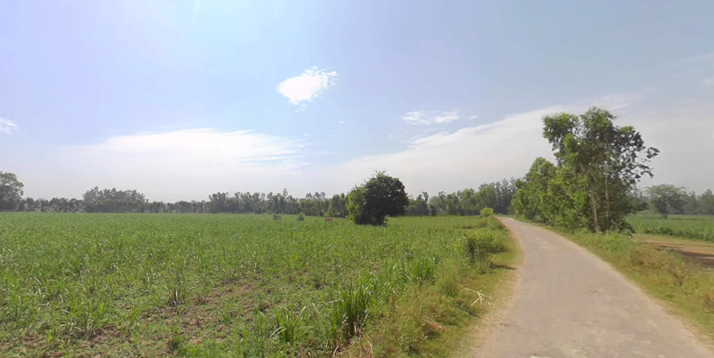 Rampur, Uttar Pradesh, India
