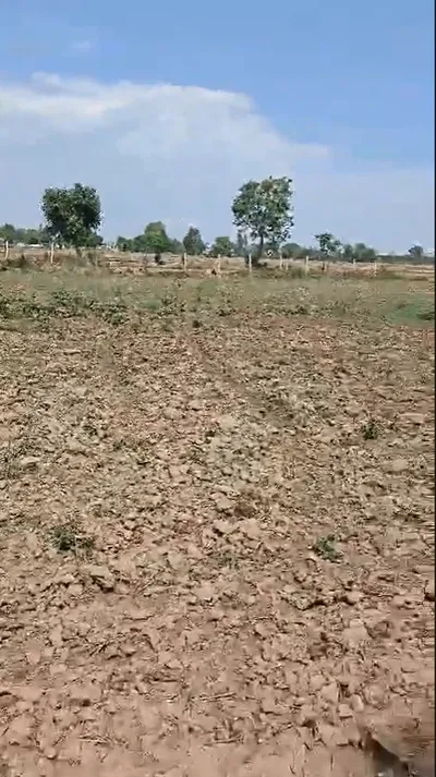 6RFW+5P5, Bor Khandi Khurd, Rajasthan 304021, India preview 3