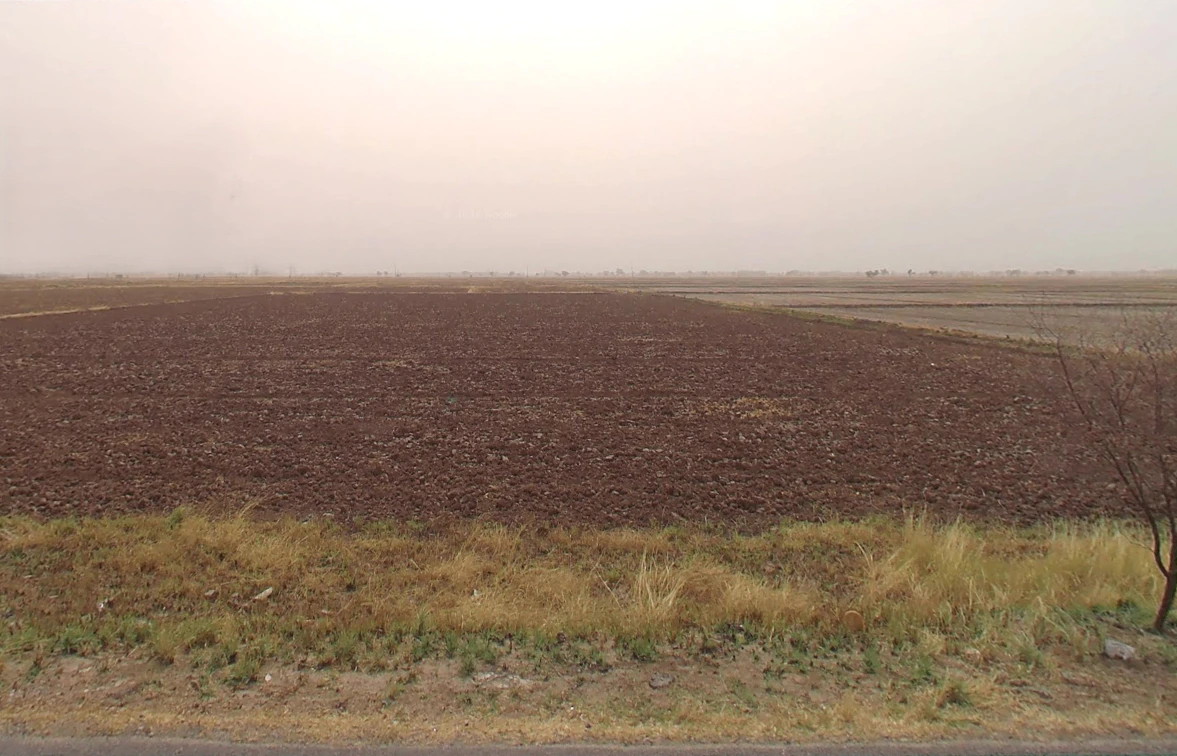 Patauda, Haryana 124108, India