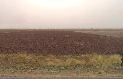 Patauda, Haryana 124108, India preview 3