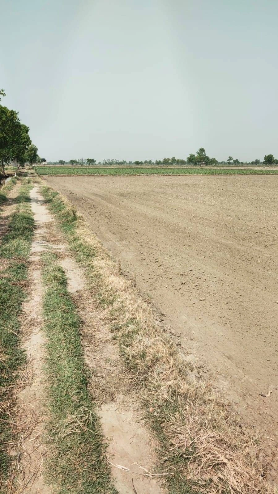 Ajijpur, Uttar Pradesh, India preview 2