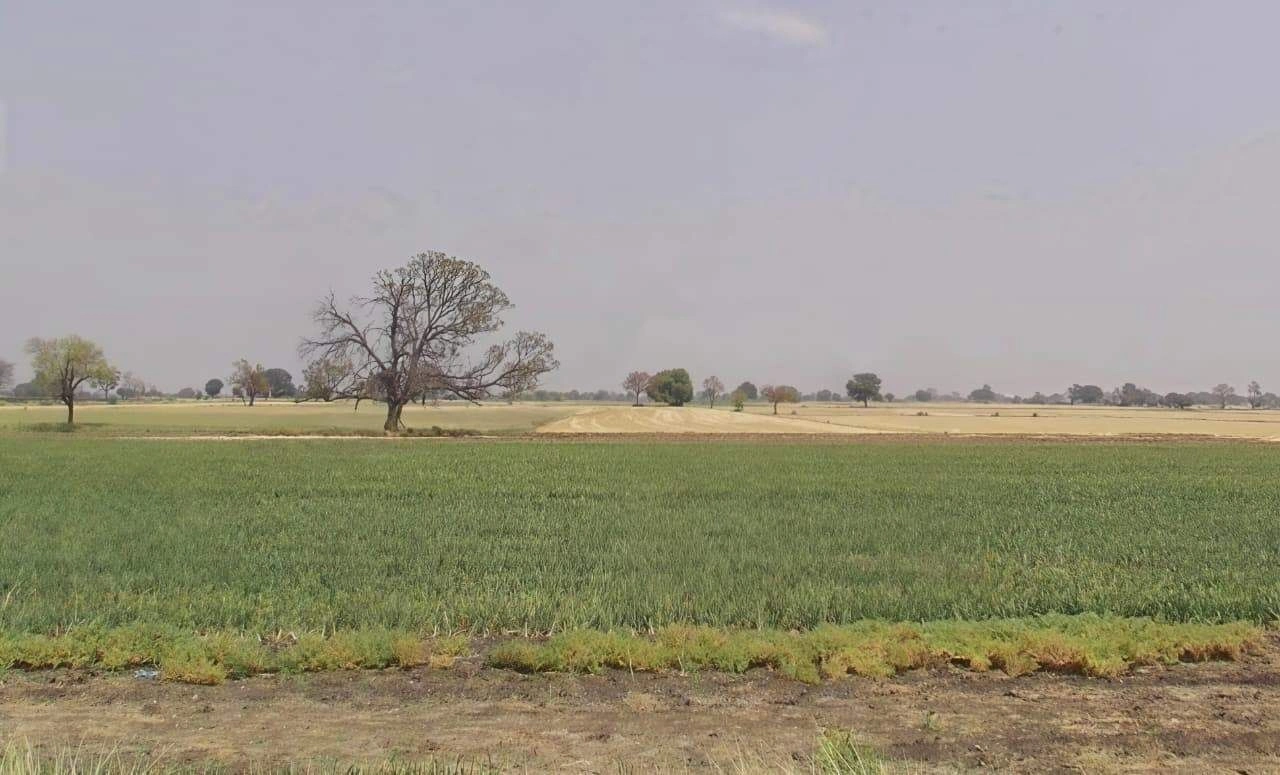 Bhopal, Madhya Pradesh, India preview 2