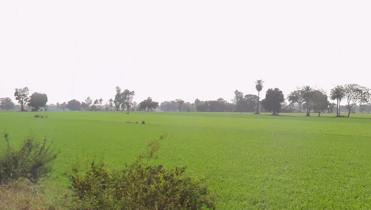 Bhidota Khurd, Madhya Pradesh 454001, India