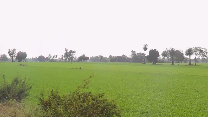 Bhidota Khurd, Madhya Pradesh 454001, India preview 3